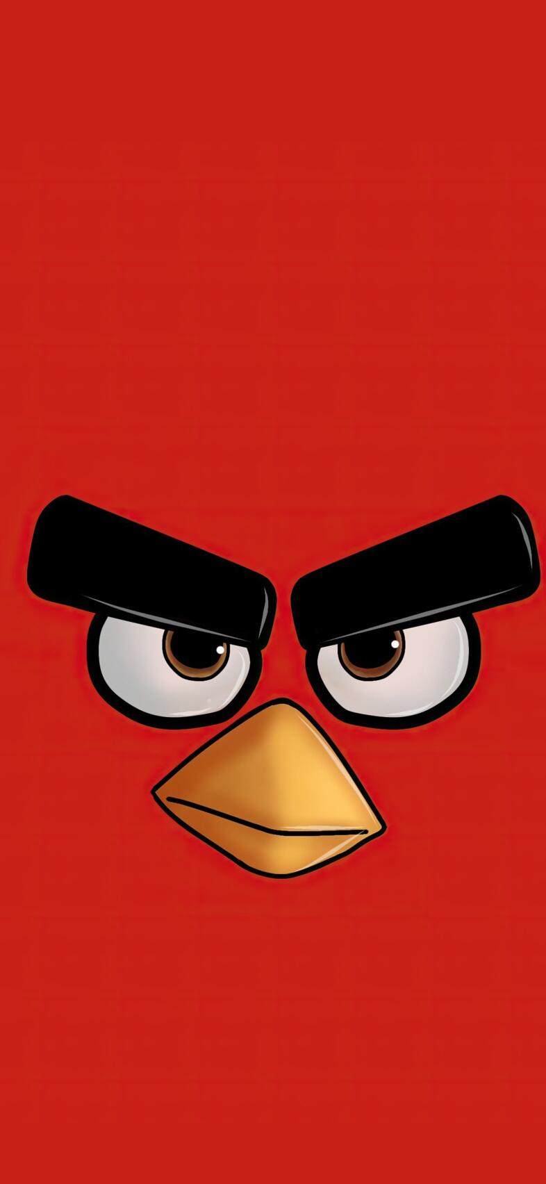 Angry Bird 4K Wallpapers for Phone