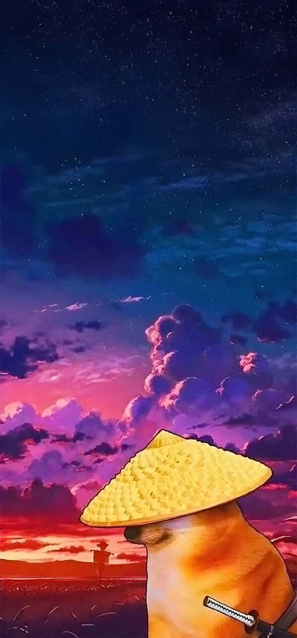 Meme Wallpapers
