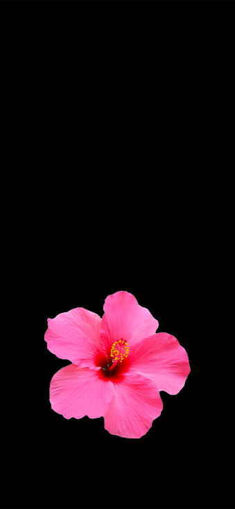 Aesthetic Wallpapers iPhone 4k