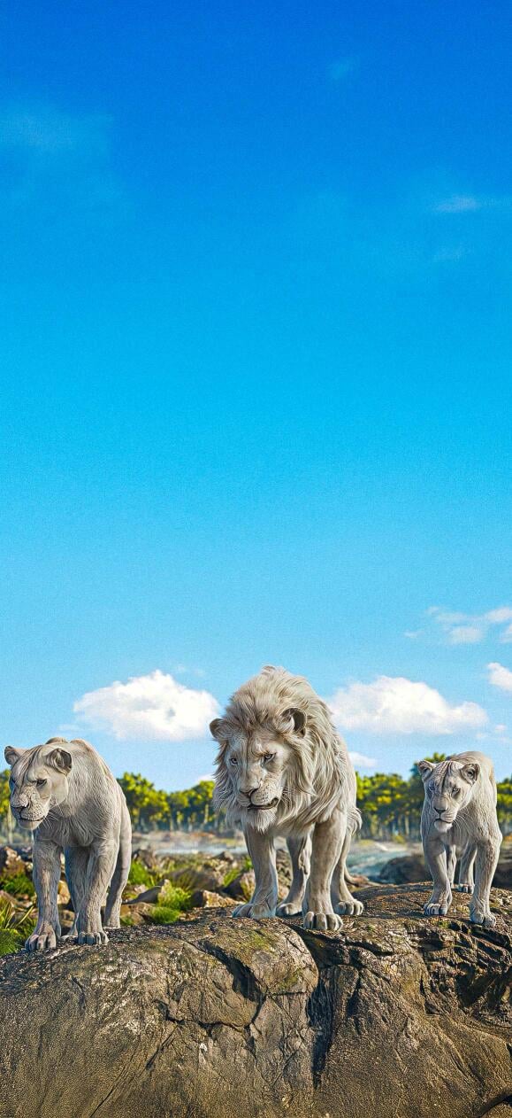 Lion King Wallpapers for Mobile