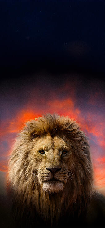 Mufasa The Lion King iPhone Wallpapers