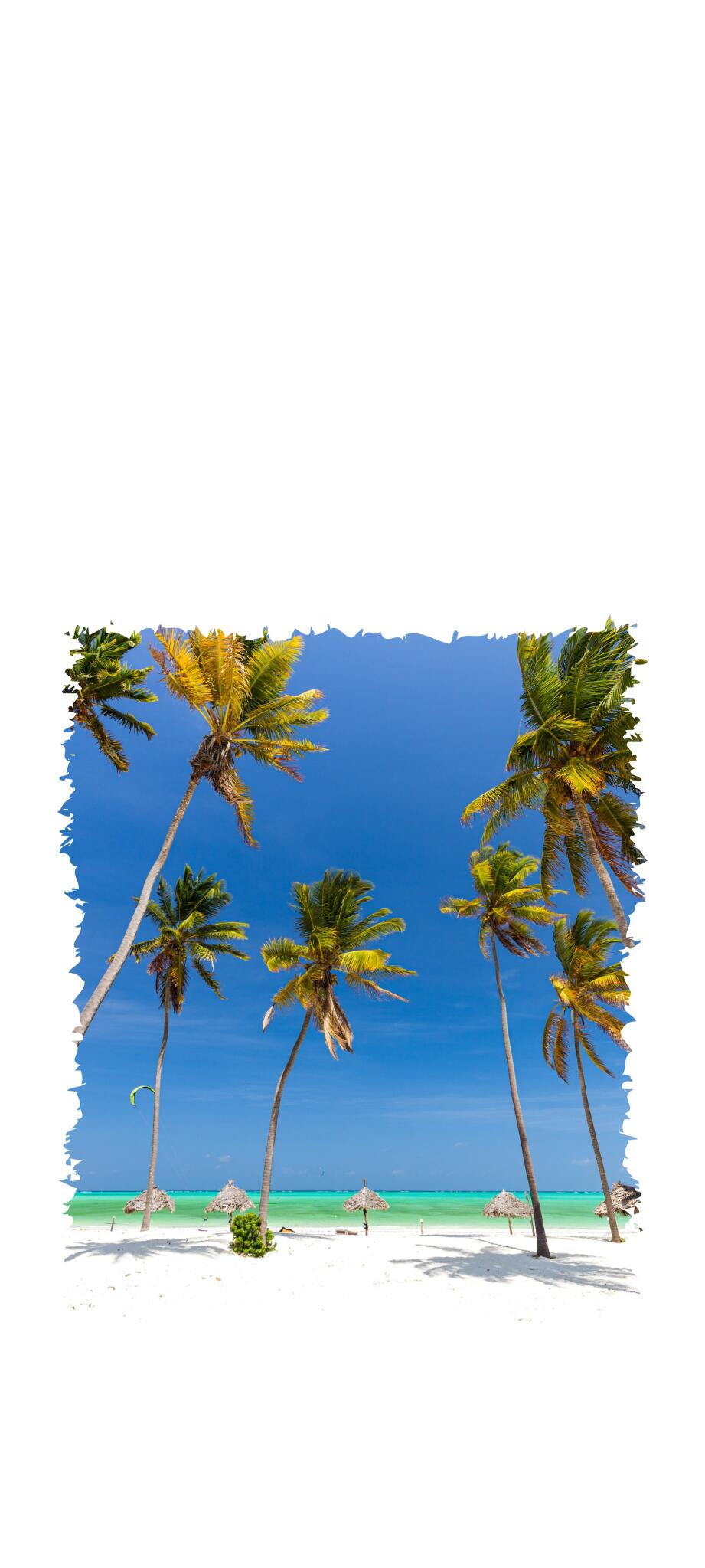 Aesthetic Wallpapers iPhone 4k
