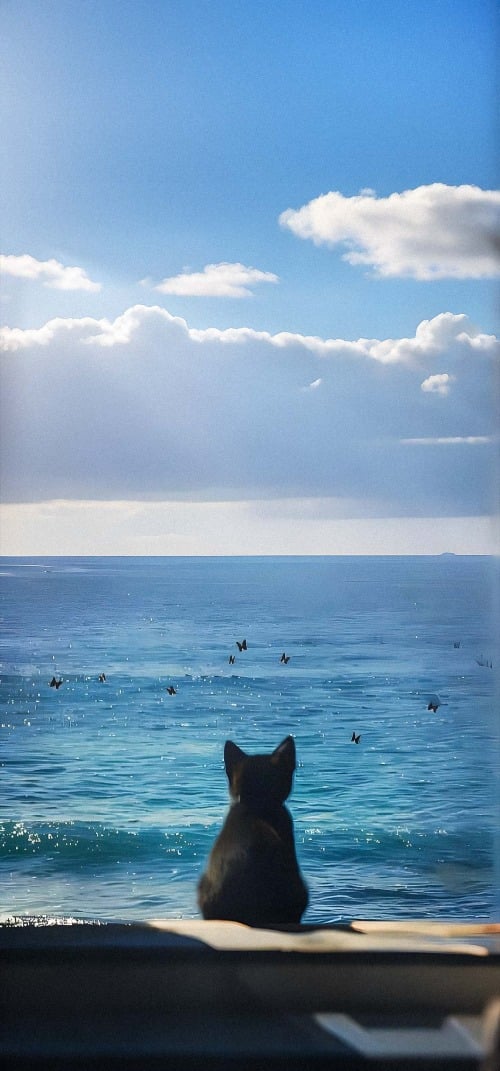 Aesthetic Wallpapers iPhone 4k