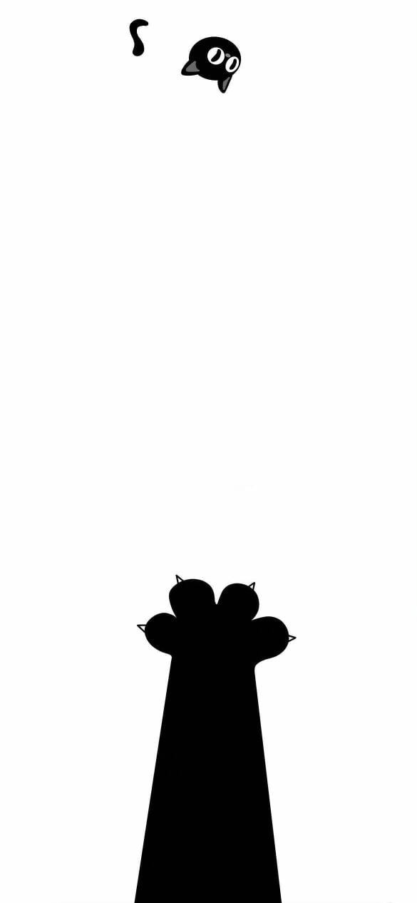 Dynamic Island Iphone HD Wallpapers