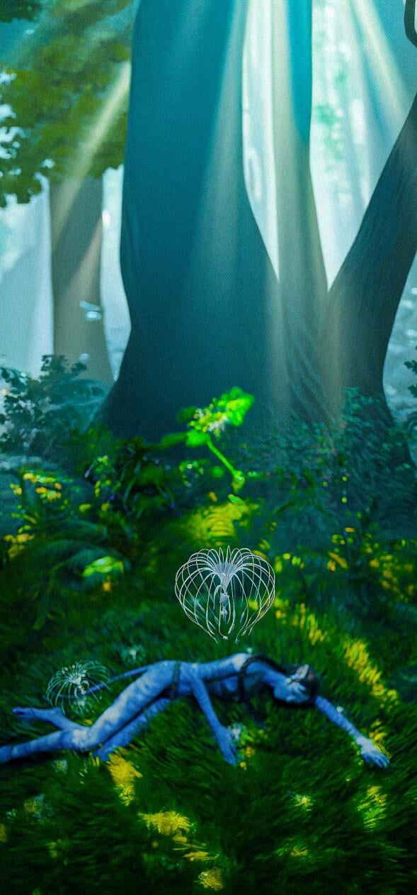 Avatar Wallpapers HD