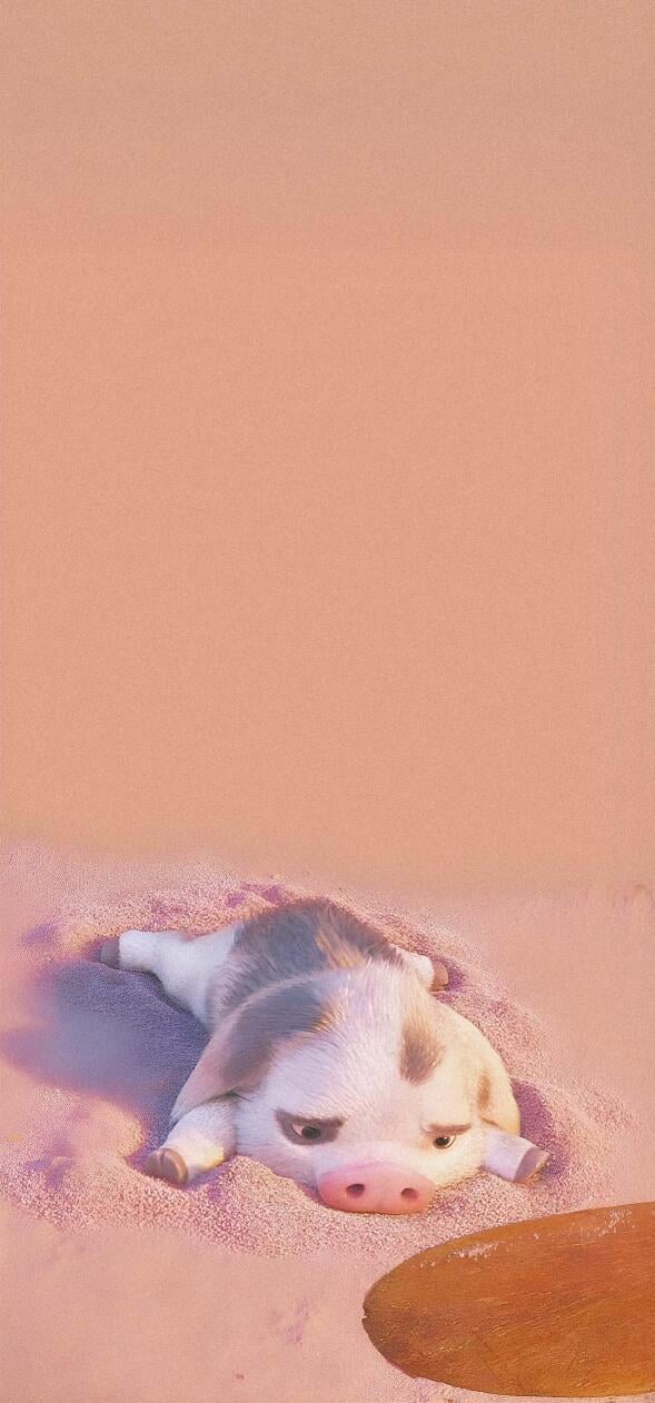 Moana Wallpapers iPhone 4k