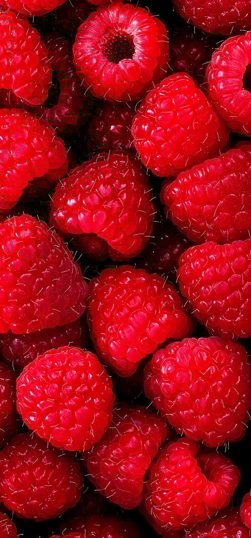 Food Aesthetic Wallpapers