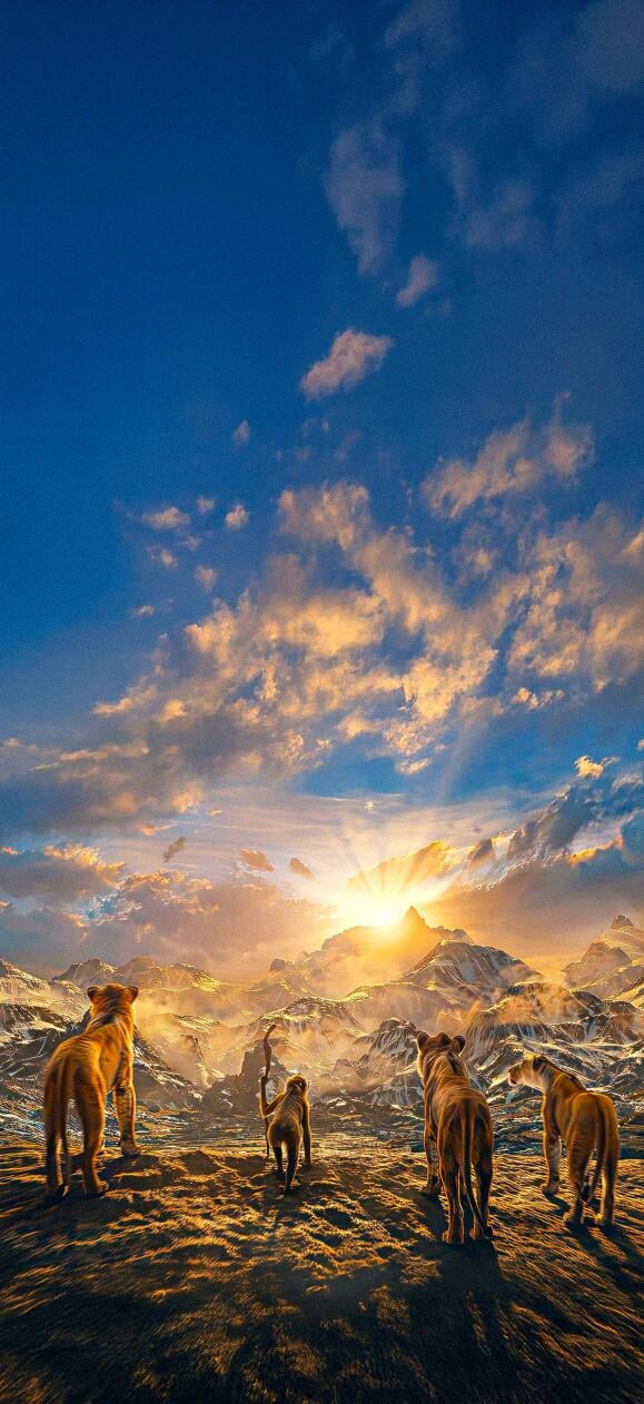 Lion King Wallpapers for Mobile