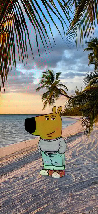 Chill guy wallpapers