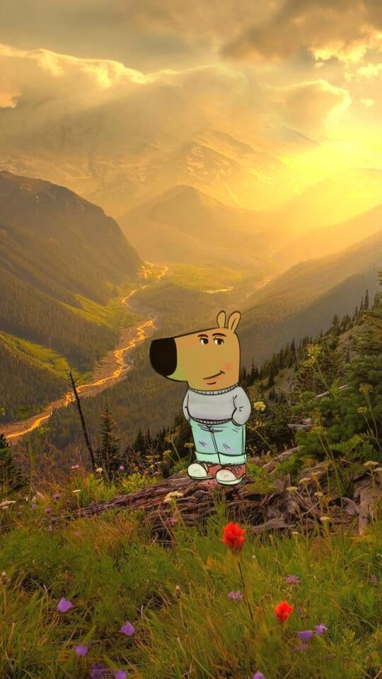 Chill Guy 4k Phone Wallpapers