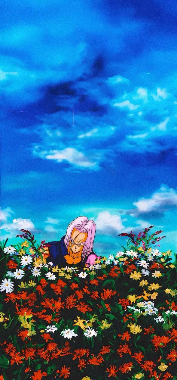 Dragon Ball Z Wallpapers 4k Phone