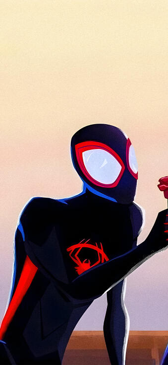 Spiderman Wallpapers 4k for iPhone