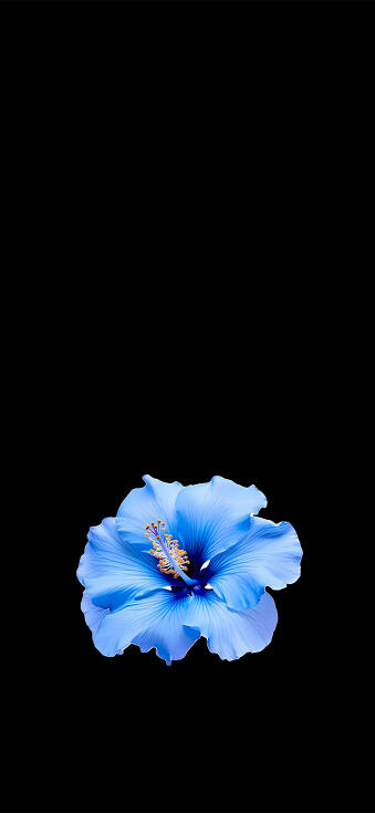Aesthetic Wallpapers iPhone 4k