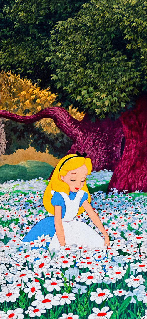 Alice in Wonderland Wallpapers 4k iPhone