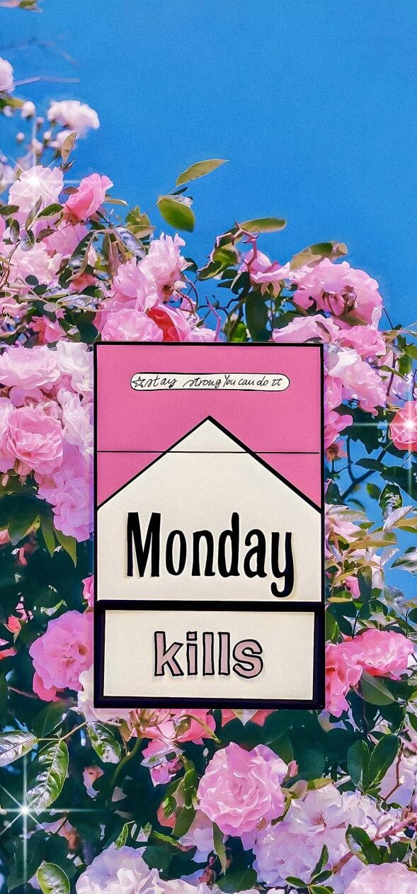Aesthetic Wallpapers iPhone 4k