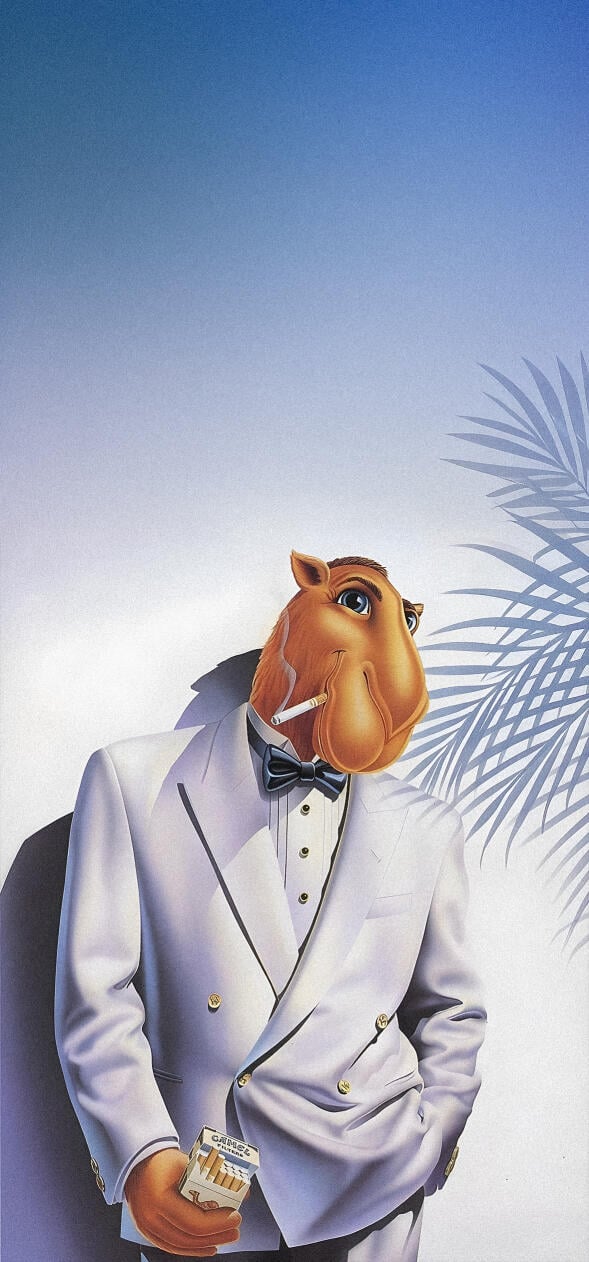 Marlboro Camel Wallpapers HD 4k
