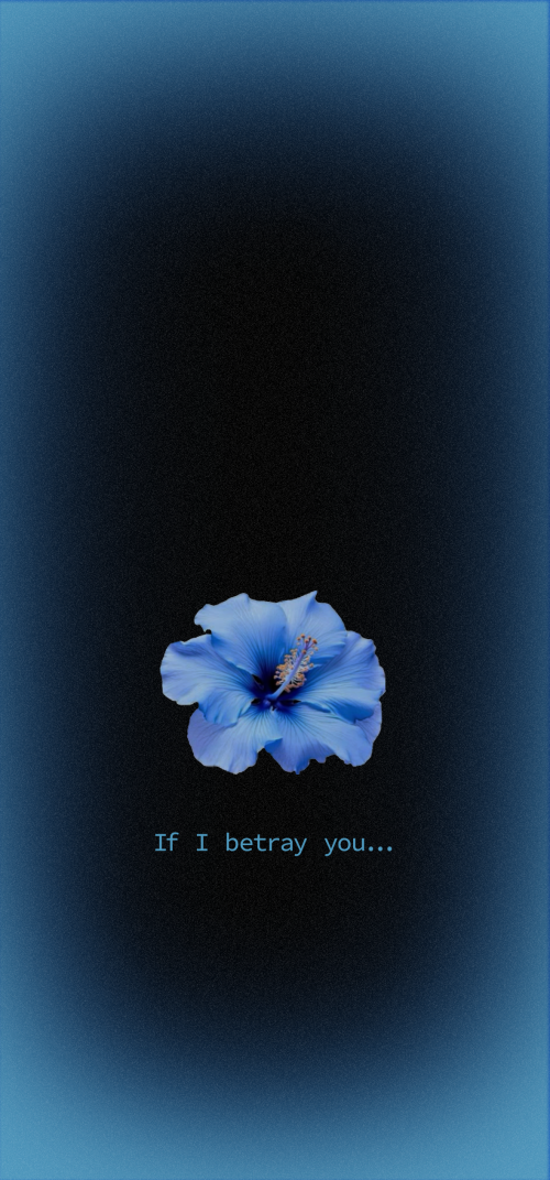 Aesthetic Matching Wallpapers for iPhone 4k