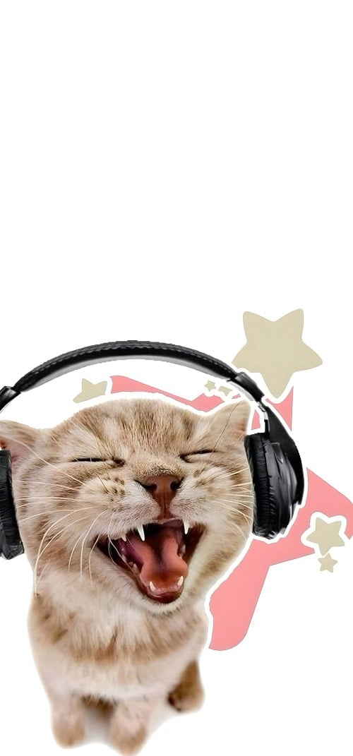 Cute Wallpapers 4k for iPhone