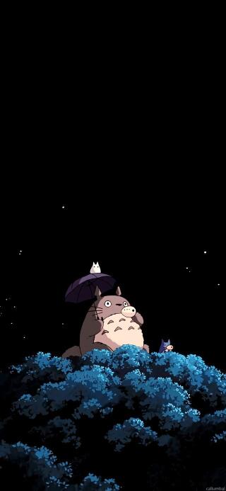 My Neighbour Totoro iPhone Wallpapers