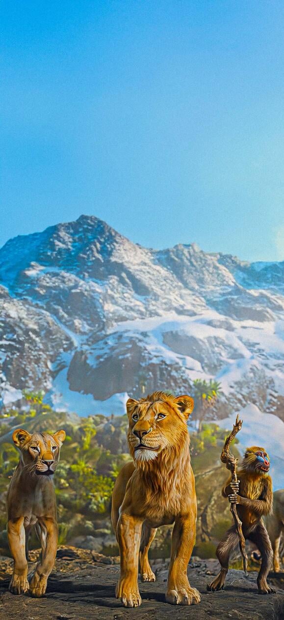 Lion King Wallpapers HD