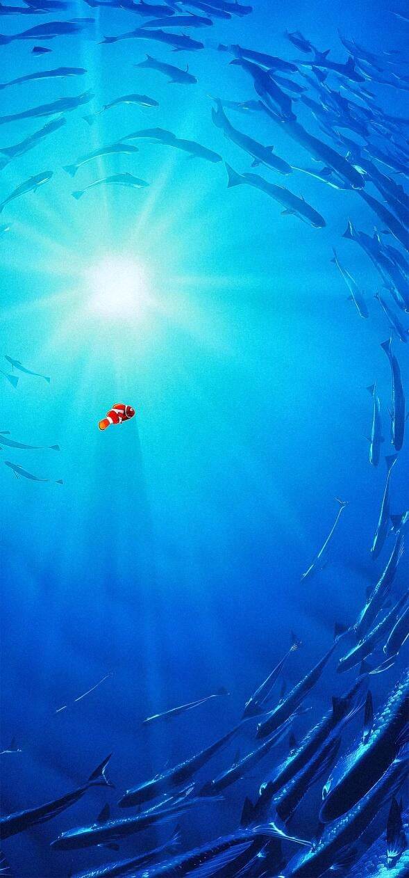 Finding Nemo HD Phone Wallpapers