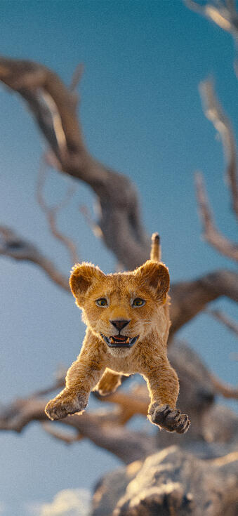 Mufasa The Lion King Wallpapers iPhone