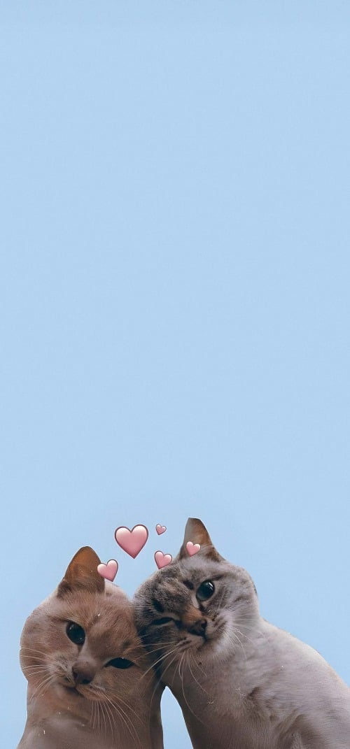 Aesthetic Wallpapers iPhone 4k