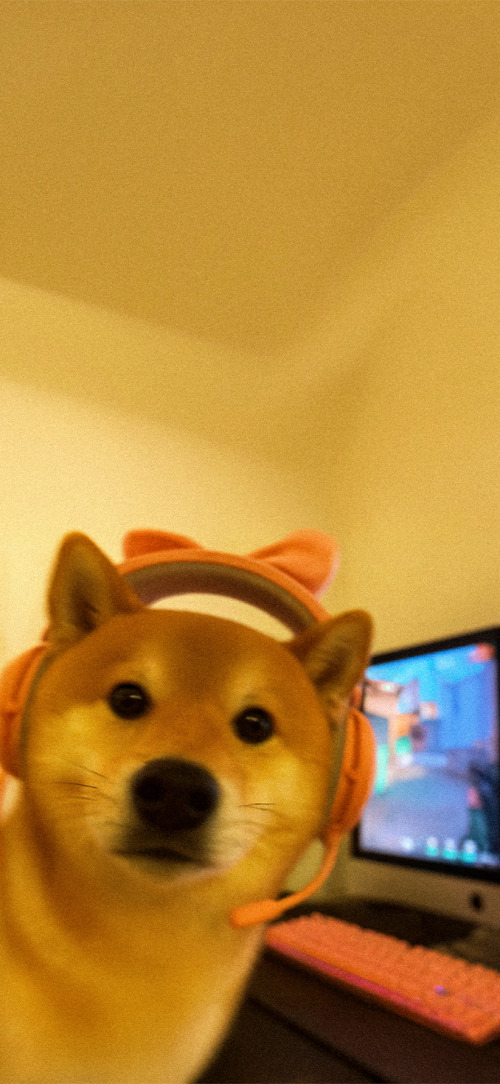 Meme Matching Wallpapers 4k iPhone