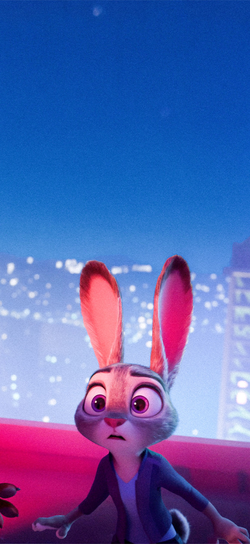 Zootopia Matching Wallpapers 4k iPhone