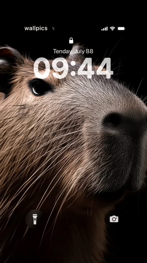 Double Wallpapers HD for Mobile