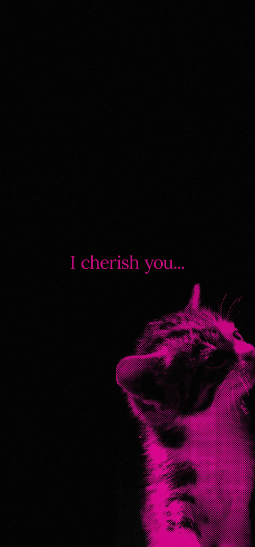 TV Girl Dark Aesthetic Mobile Matching Wallpapers