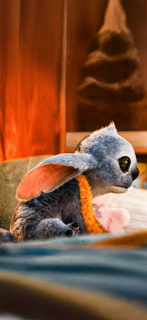 Lilo and Stitch Matching iPhone Wallpaper HD 4k