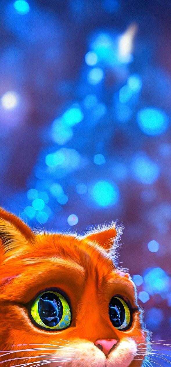 Puss in the Boots Wallpapers HD