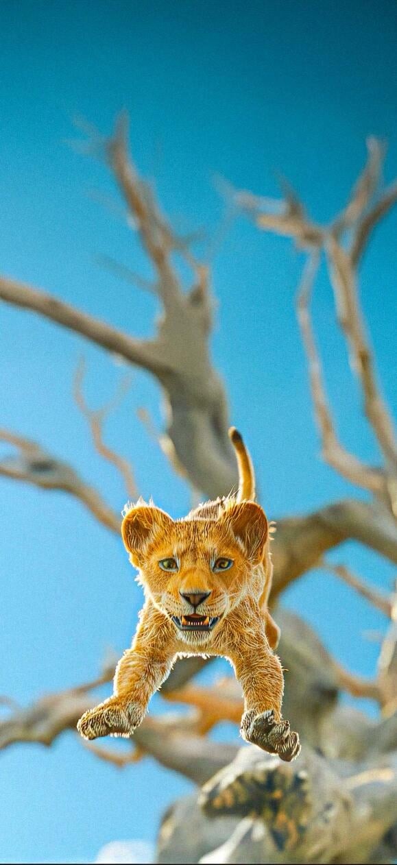 Lion King Wallpapers HD