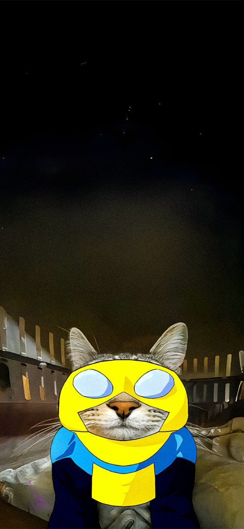 Invincible Wallpapers 4k iPhone