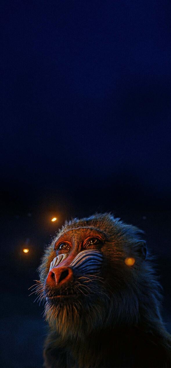 The Lion King Wallpapers HD