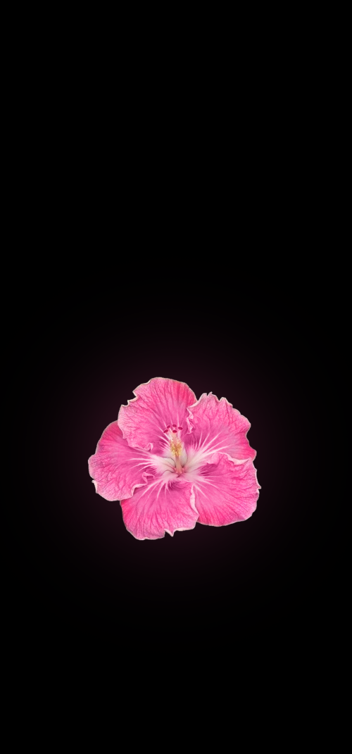 Aesthetic  Matching Wallpapers iPhone 4k