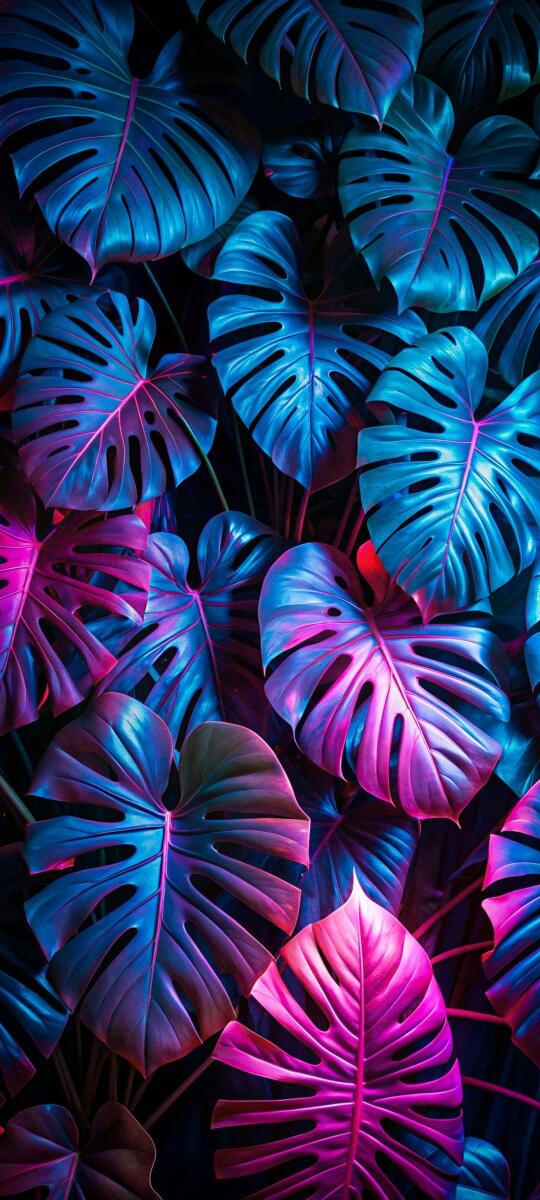 Aesthetic Wallpapers iPhone 4k