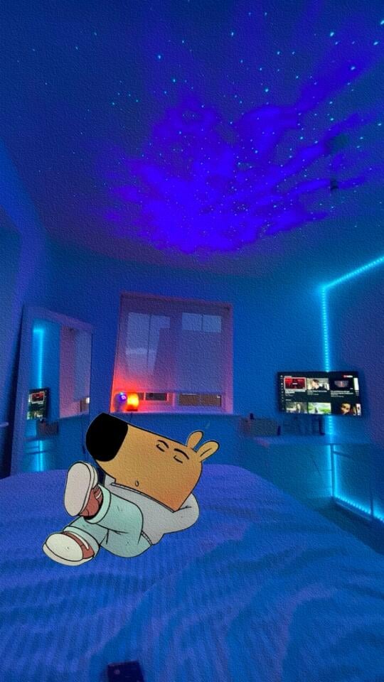 Chill guy iPhone HD Wallpapers