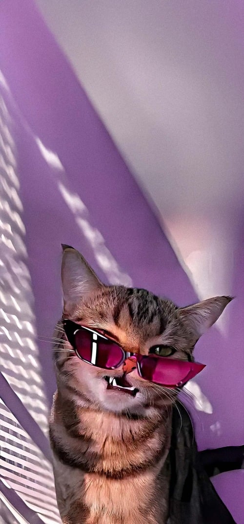Meme Wallpapers 4k iPhone