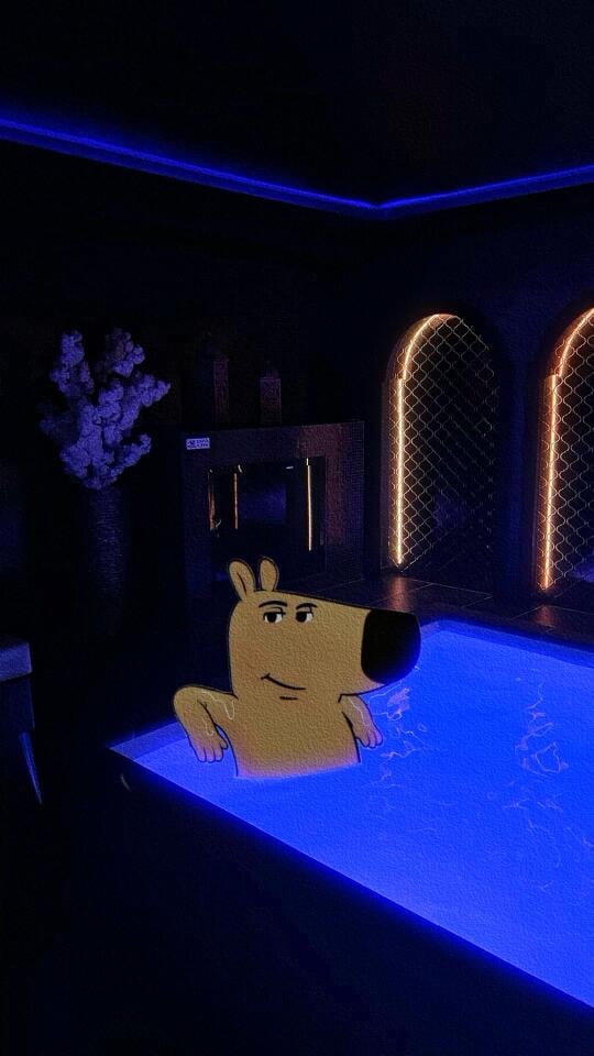 Chill guy HD iPhone Wallpaper
