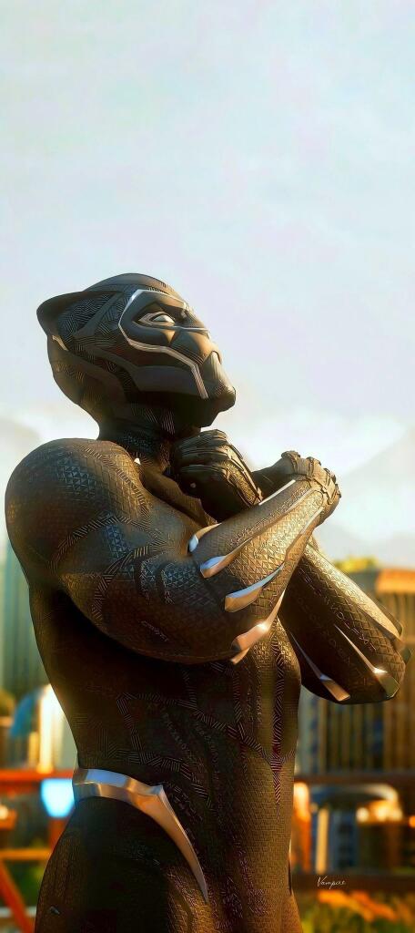 Black Panther Wallpapers HD 4k