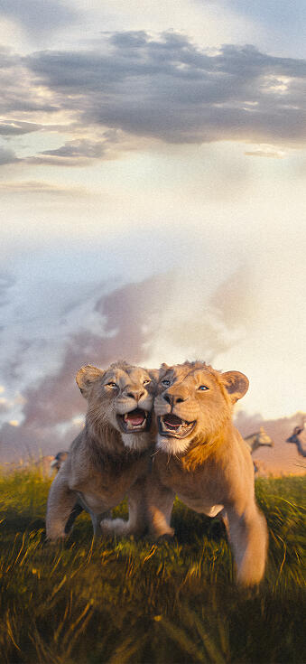 The Lion King Wallpaper HQ