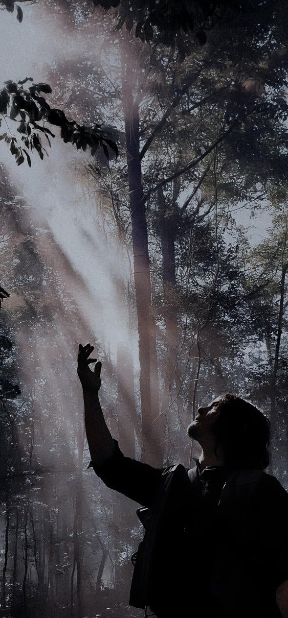 The Walking Dead Wallpaper HD