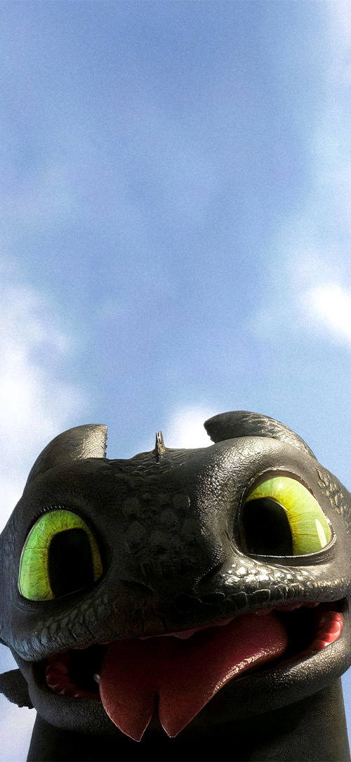 How to Train Your Dragon Matching Wallpapers iPhone HD
