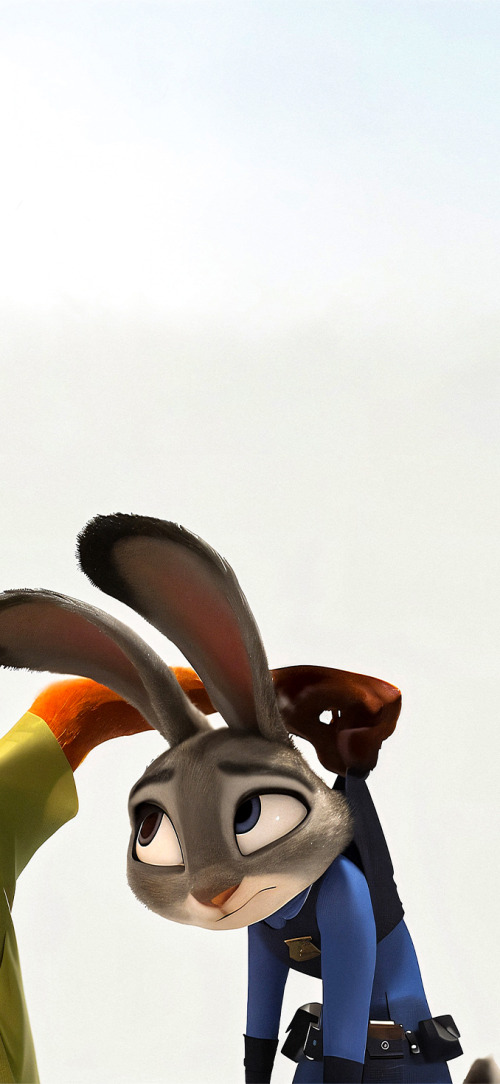 Zootopia Matching Wallpapers 4k iPhone